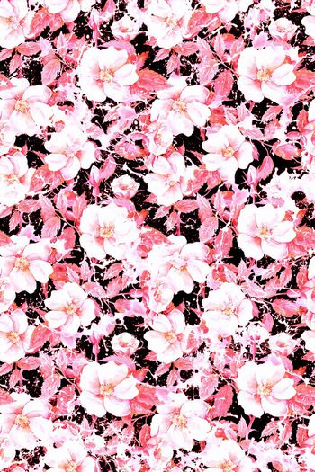 554296-抽象 小清新花卉 抽象色块肌理 女