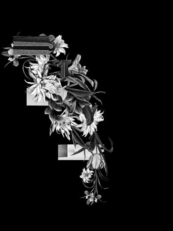 554436-素描手绘风格