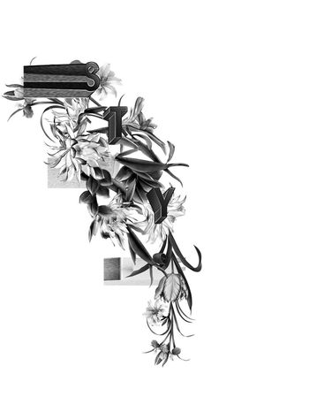 554437-素描手绘风格  飘逸的中性花卉