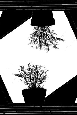 黑白对称印花华亿平台图片