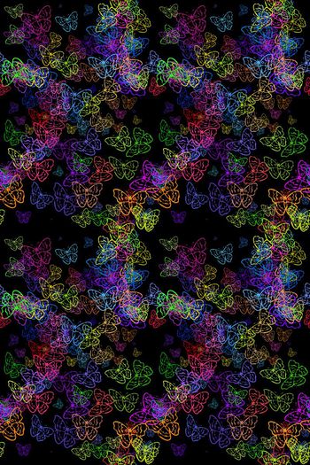 554657-黑底喷涂蝴蝶