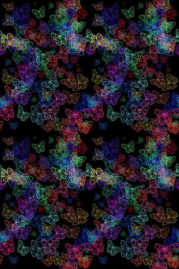 554665-黑底喷涂蝴蝶