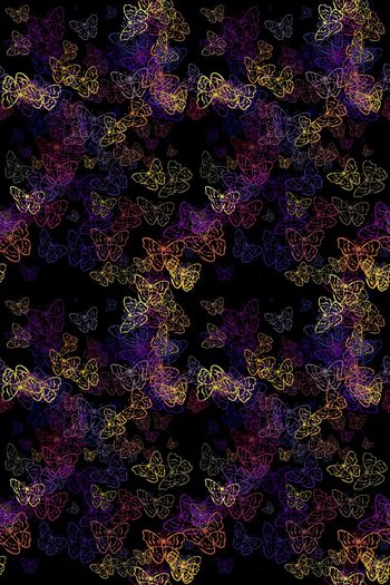 554666-黑底喷涂蝴蝶