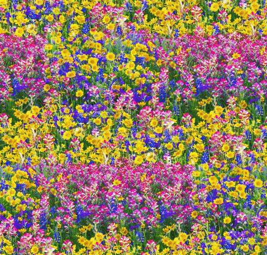 花团锦簇印花华亿平台图片