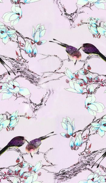 554694-中国风小鸟栖树 老树玉兰 比翼鸟