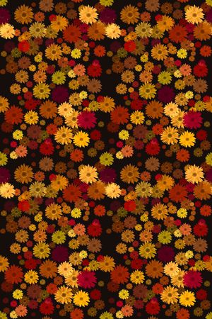 创意印花华亿平台图片