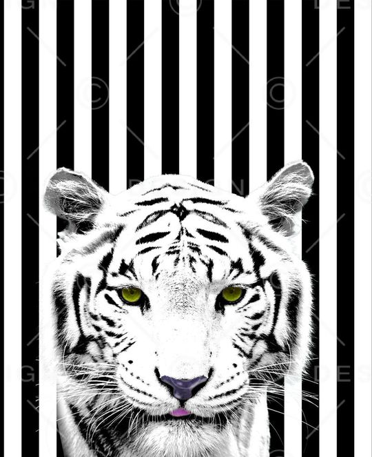 老虎印花华亿平台图片