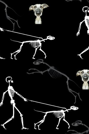 抽象男装图案印花华亿平台图片