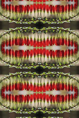 复古印花华亿平台图片