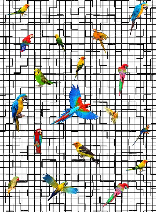 时尚印花华亿平台图片