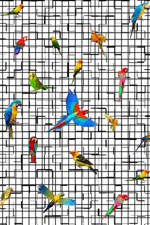 时尚印花华亿平台图片