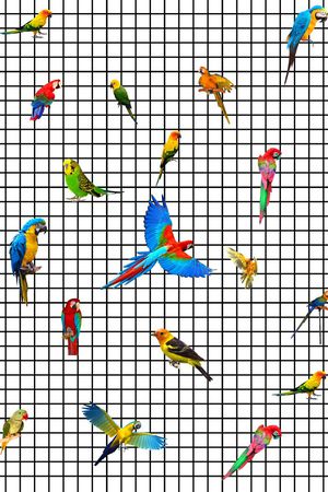 时尚印花华亿平台图片