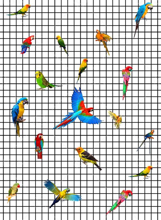 时尚印花华亿平台图片