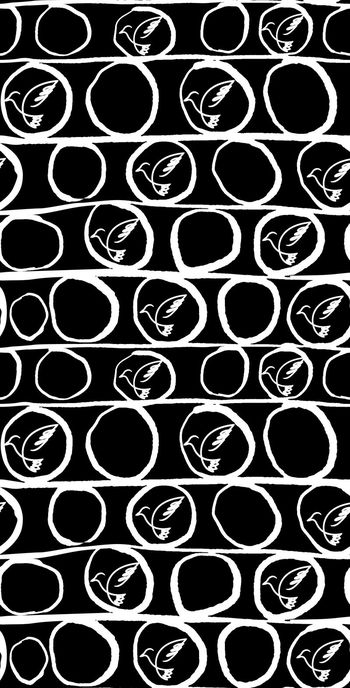 555065-随意手绘圈鸟