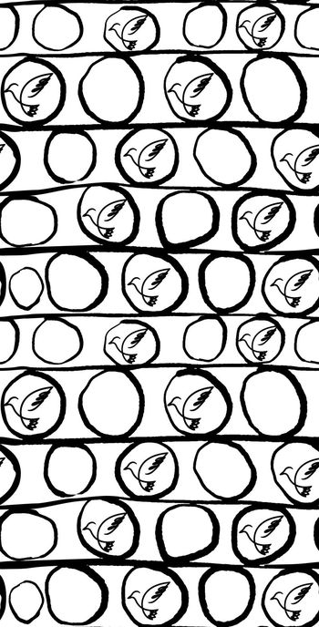 555067-随意手绘圈鸟