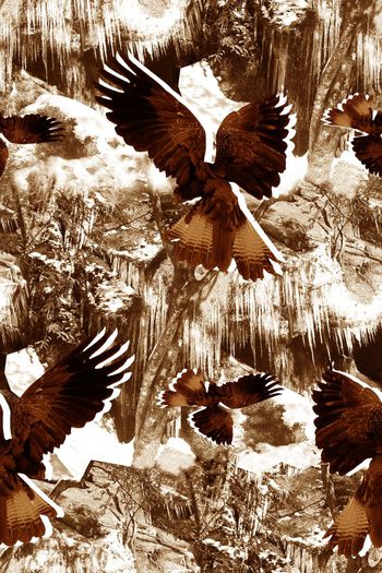 555163-抽象自然山石纹理老鹰男装图案