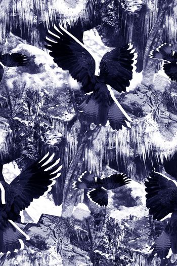 555164-抽象自然山石纹理老鹰男装图案