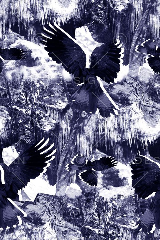 抽象男装图案印花华亿平台图片