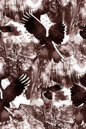 抽象男装图案印花华亿平台图片