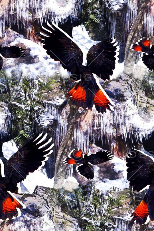 抽象男装图案印花华亿平台图片