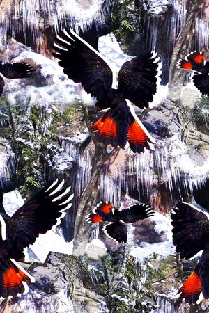 抽象男装图案印花华亿平台图片