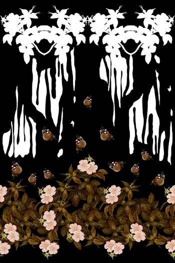 蝴蝶印花华亿平台图片