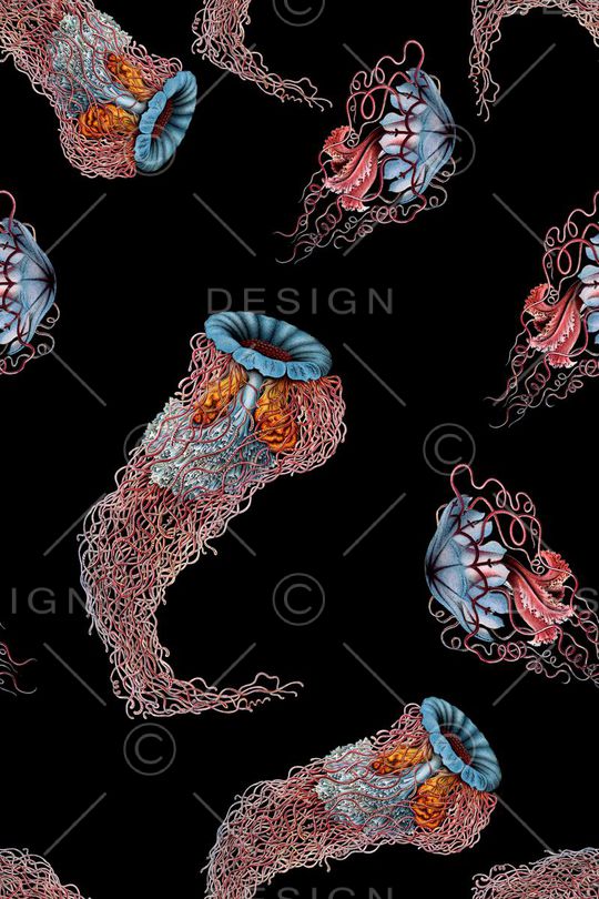 男装女装印花华亿平台图片