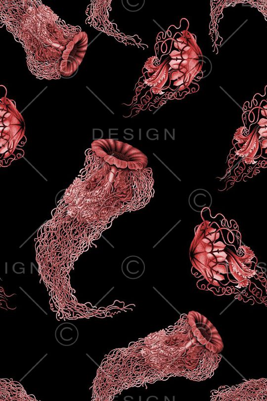 男装女装印花华亿平台图片