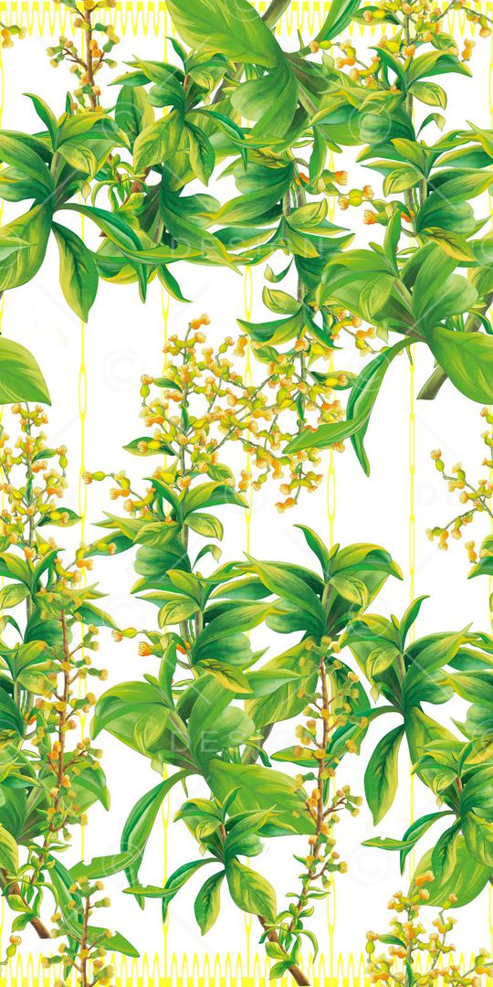 艾纳稥印花华亿平台图片