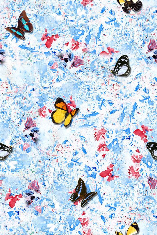 蝴蝶印花华亿平台图片