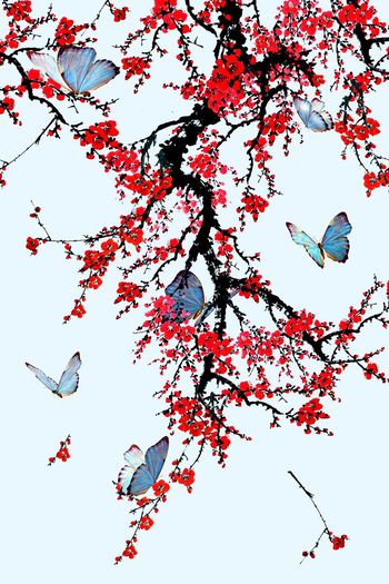 555397-中国风定位梅花