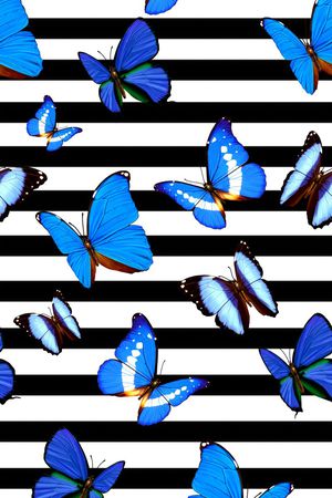 欧款印花华亿平台图片