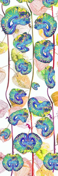 骷髅印花华亿平台图片