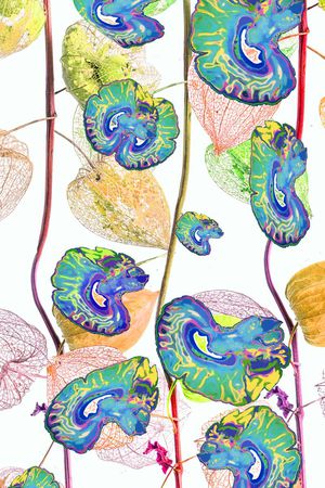 骷髅印花华亿平台图片