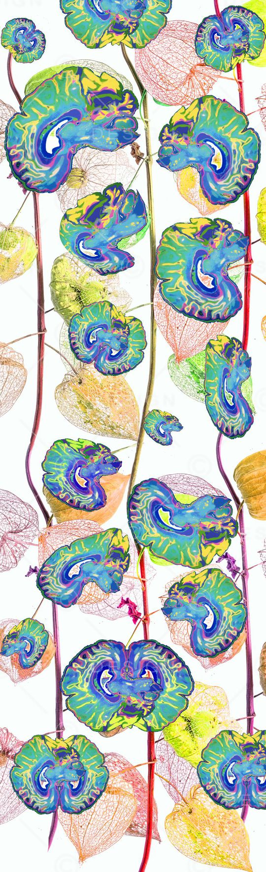 骷髅印花华亿平台图片