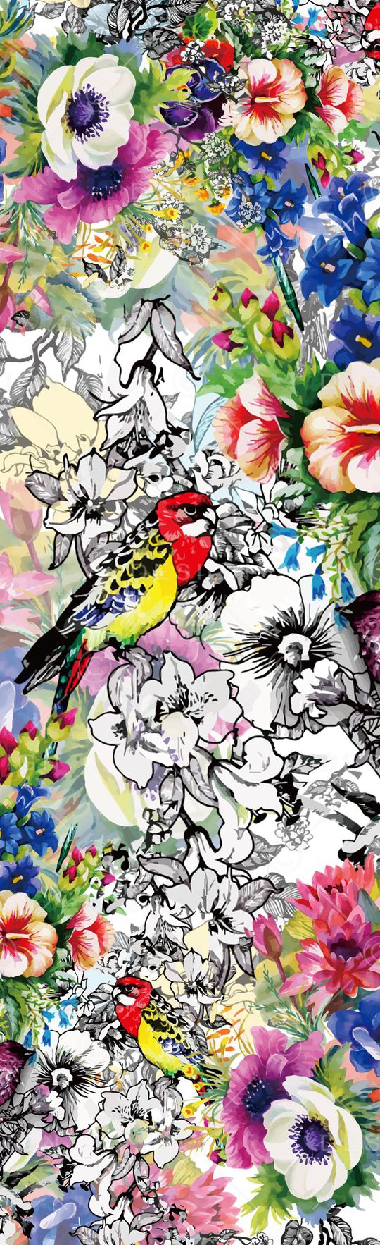 花鸟印花华亿平台图片