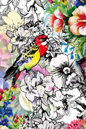 花鸟印花华亿平台图片