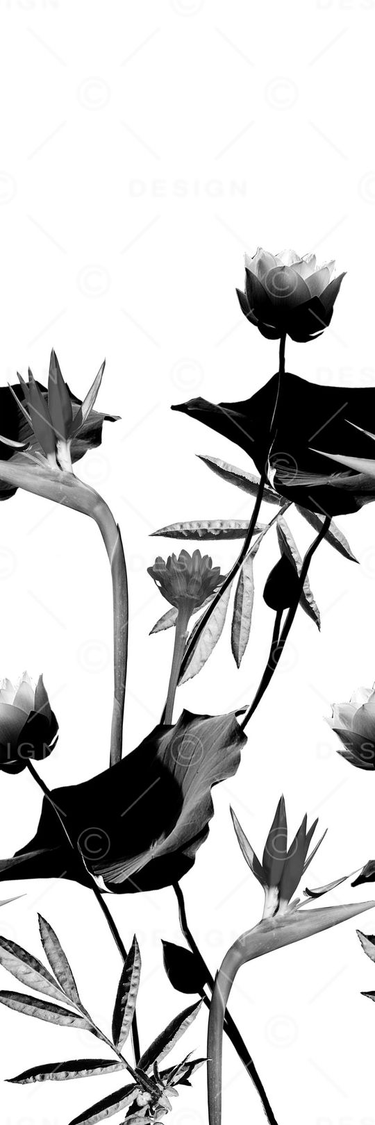 时尚印花华亿平台图片