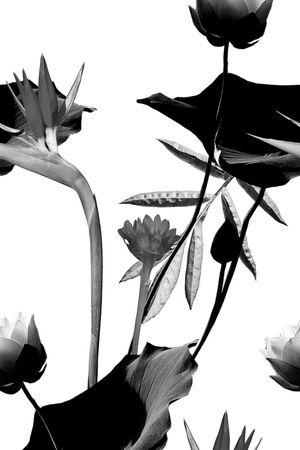 时尚印花华亿平台图片