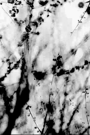 中国风印花华亿平台图片