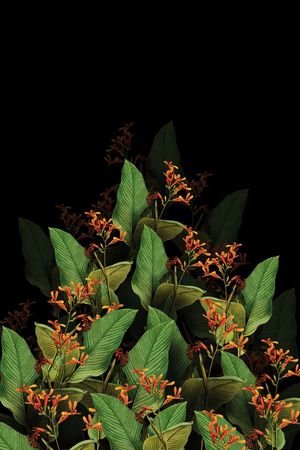 时尚印花华亿平台图片