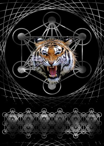 555963-抽象纹理线条老虎头男装图案