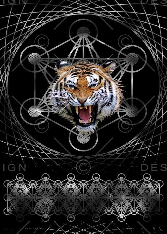 抽象男装图案印花华亿平台图片