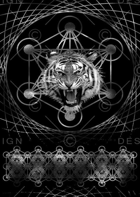 抽象男装图案印花华亿平台图片