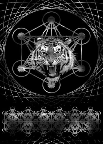 555964-抽象纹理线条老虎头男装图案