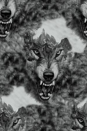 复古印花华亿平台图片