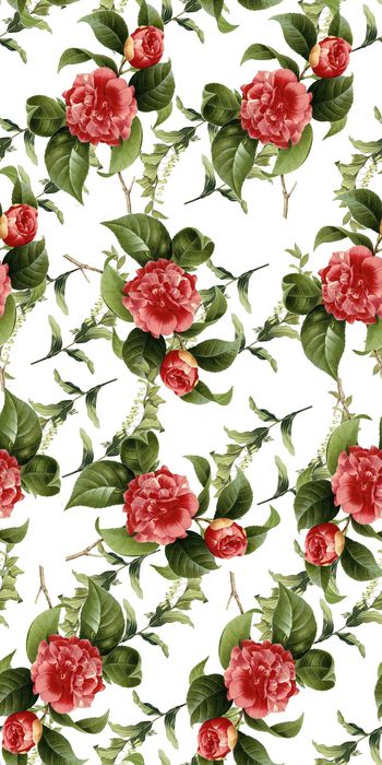 556150-绿叶红花植物