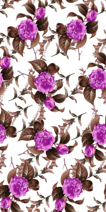 556151-绿叶红花植物