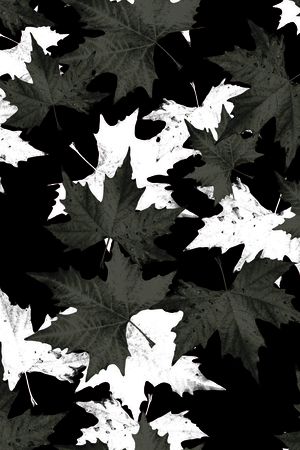 黑白印花华亿平台图片