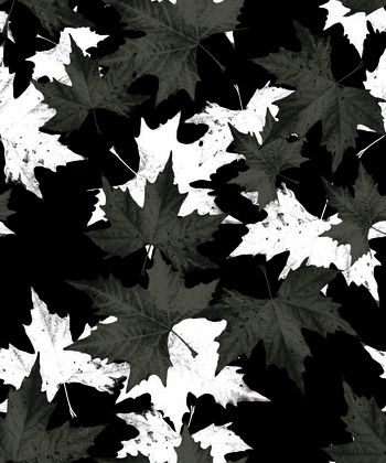 黑白印花华亿平台图片